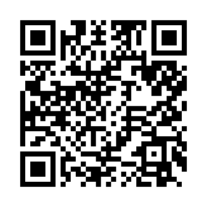 新版安卓执行端 APK 下载二维码
